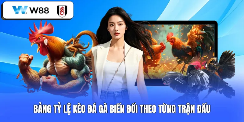 Bảng tỷ lệ kèo đá gà biến đổi theo từng trận đấu