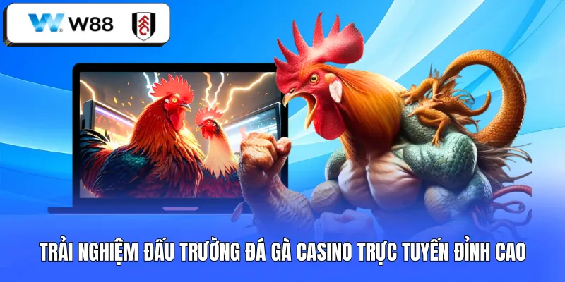 Trải nghiệm đấu trường đá gà casino trực tuyến đỉnh cao